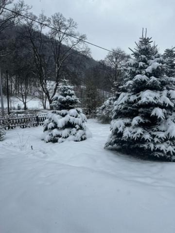 Patysiowka Villa Stronie Slaskie Luaran gambar