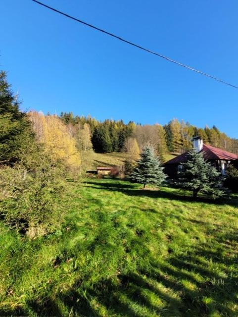 Patysiowka Villa Stronie Slaskie Luaran gambar